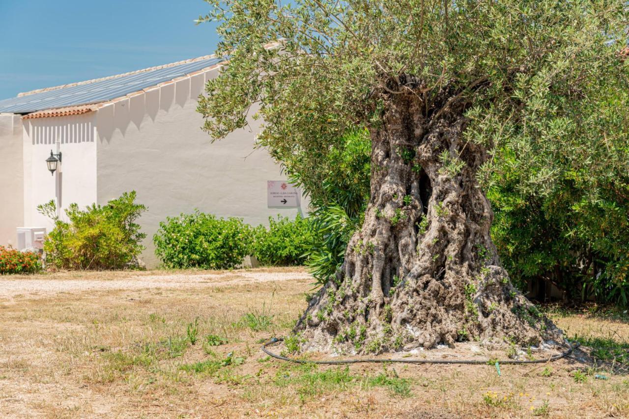 Borgo Alba Barona Turismo Rurale Golfo Aranci Extérieur photo